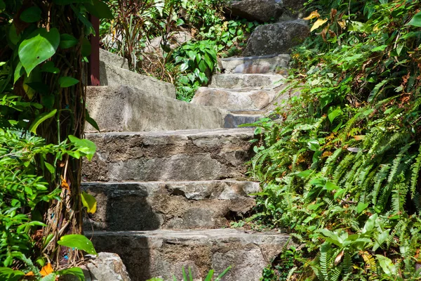 Promenad Väg Parken Kho Samui Thailand — Stockfoto