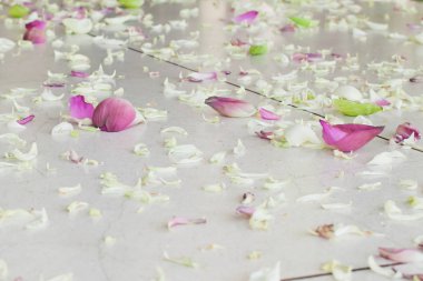 Çiçek yaprakları ile düğün koridor. Tayland düğünde.