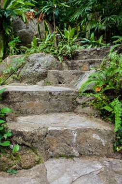 Kho Samui, Tayland, Thailand, parkta yürüyüş yolu.
