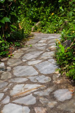 Kho Samui, Tayland, Thailand, parkta yürüyüş yolu.
