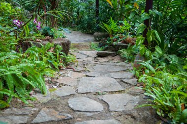 Kho Samui, Tayland, Thailand, parkta yürüyüş yolu.