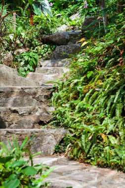 Kho Samui, Tayland, Thailand, parkta yürüyüş yolu.