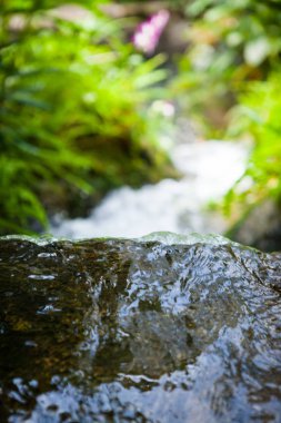 Tayland Garden'da akan küçük dere.