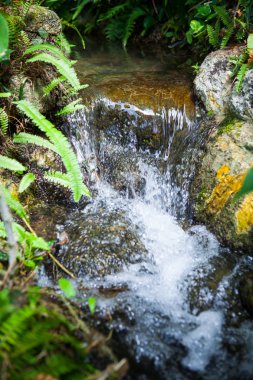 Tayland Garden'da akan küçük dere.