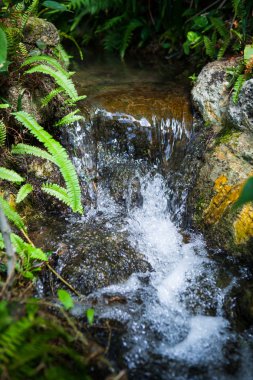 Tayland Garden'da akan küçük dere.