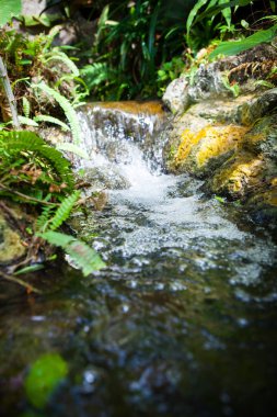 Tayland Garden'da akan küçük dere.