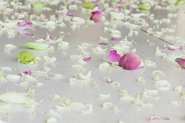 Bruiloft Gangpad Met Bloemblaadjes Trouwen Thailand — Stockfoto