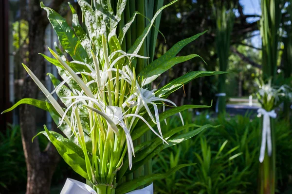 Bloemen Arrangement Bij Een Ceremonie Van Het Huwelijk Thailand — Stockfoto