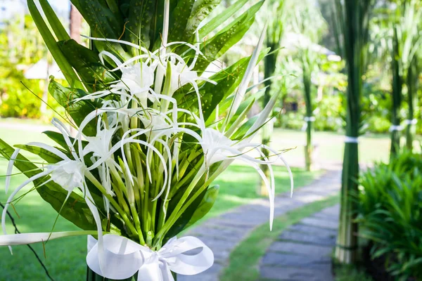 Disposizione Floreale Una Cerimonia Matrimonio Thailandia — Foto Stock