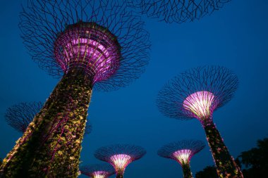  Gardens by the Bay Singapur'da bir park veya botanik bahçesidir..