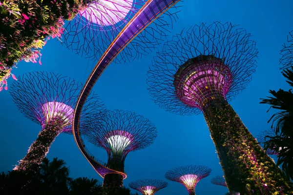 Gardens by the Bay is een park of botanische tuin in Singapore. — Stockfoto