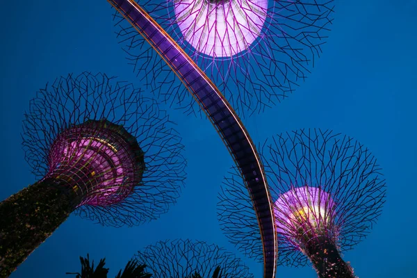 Gardens by the Bay es un parque o jardín botánico en Singapur . — Foto de Stock