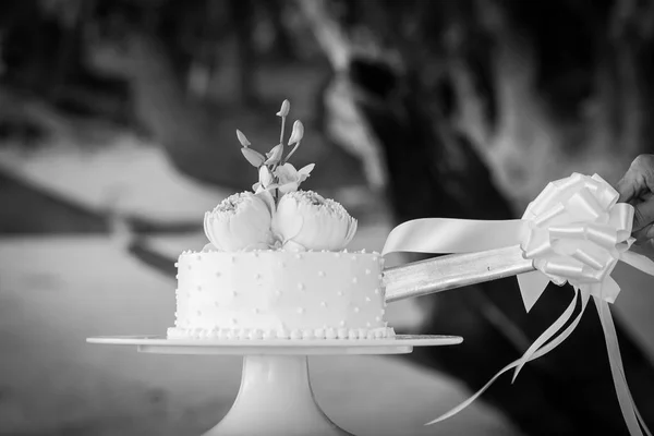 Esküvő vágás esküvői torta az esküvő napján. — Stock Fotó