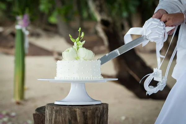 Hochzeit Schneiden einer Hochzeitstorte am Hochzeitstag. — Stockfoto