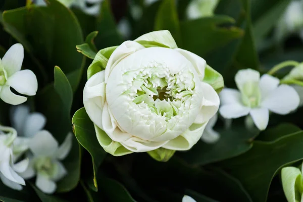 Bloemen arrangement op een bruiloft op het strand. — Stockfoto