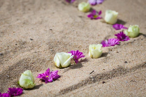 Beautiful wedding decorated on beach. — Stock Photo, Image