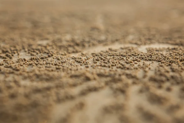 Many balls of sand made by sand bubbler crab  on a Thailand beac — Stock Photo, Image