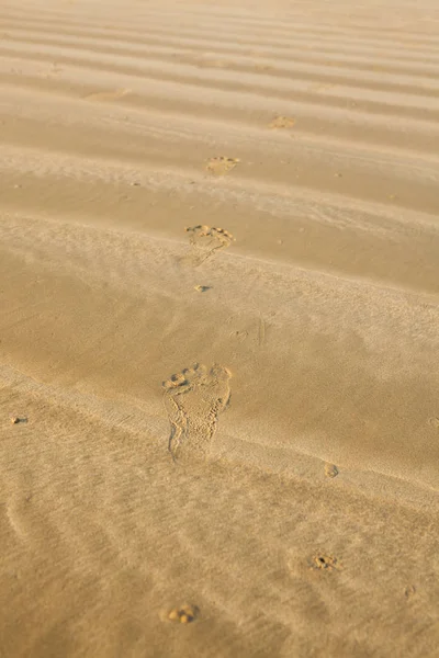 Close up de pegadas na praia com areia dourada — Fotografia de Stock