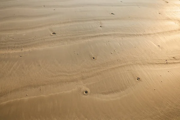 Απρόσκοπτη άμμος σε ολόκληρο το φόντο και την υφή. — Φωτογραφία Αρχείου