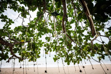 Sahildeki bir düğün töreninde çiçek aranjmanı..