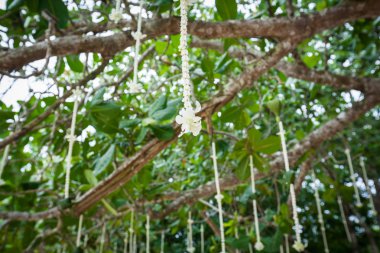 Sahildeki bir düğün töreninde çiçek aranjmanı..