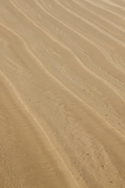 Бесшовный песок на всем фоне и текстуре . — стоковое фото