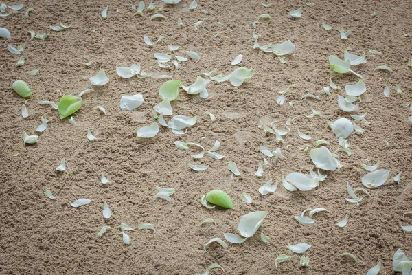 Wedding venue on beach. — Stock Photo, Image