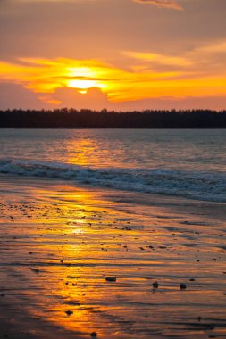 Plajda tropik gün batımı. 
