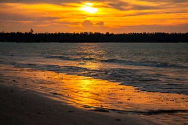 Plajda tropik gün batımı. 