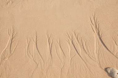 Kum dokusu. Arka plan için kumsal.