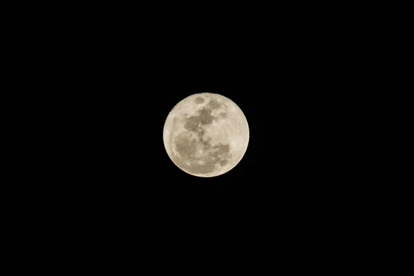 Vollmond in der dunklen Nacht — Stockfoto