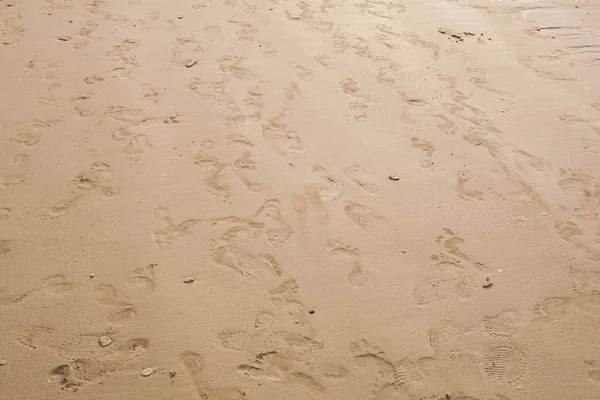 Fotspår på stranden sand. — Stockfoto