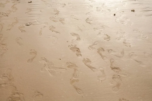 Fotspår på stranden sand. — Stockfoto