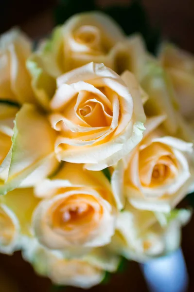 Bukiet róż . — Zdjęcie stockowe