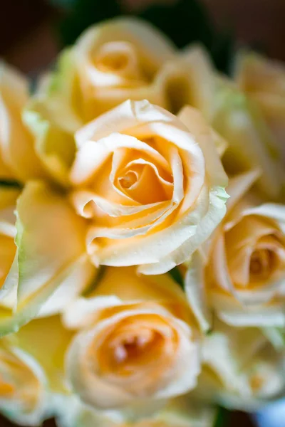Bouquet de roses . — Photo