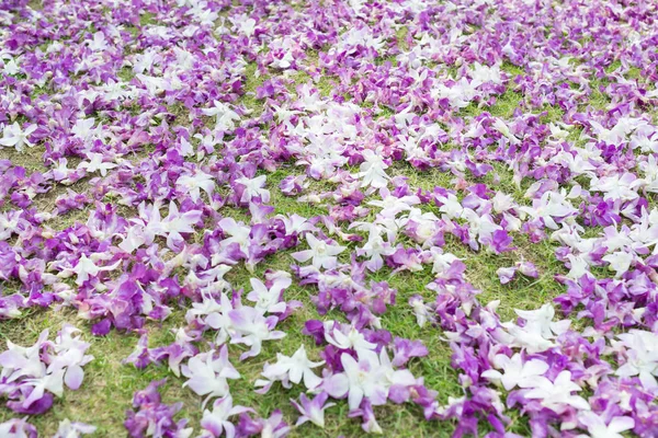 タイの結婚式の花のアレンジメント — ストック写真