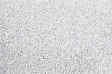 Tayland 'daki tropikal bahçede çimentodan yapılmış yol..