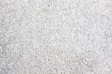 Tayland 'daki tropikal bahçede çimentodan yapılmış yol..