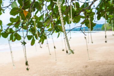 Düğün töreninde çiçek aranjmanı.