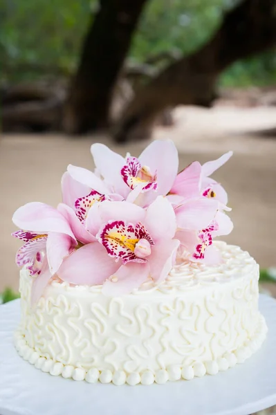 花顶婚礼蛋糕的美丽 — 图库照片
