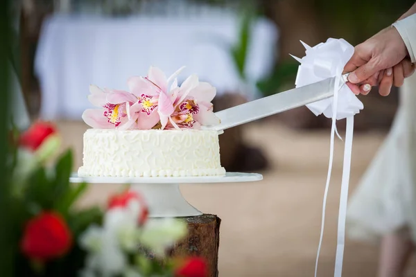 Bruiloft Snijden Van Een Bruidstaart Trouwdag — Stockfoto