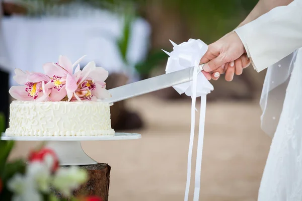 婚礼当天切结婚蛋糕 — 图库照片