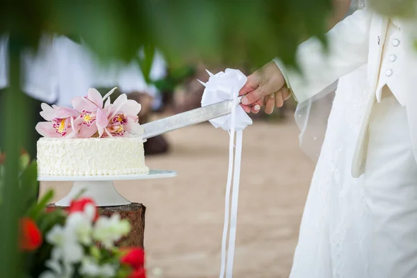 Matrimonio Taglio Una Torta Nuziale Giorno Del Matrimonio — Foto Stock