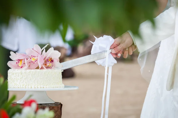 Свадебный Разрез Свадебного Торта День Свадьбы — стоковое фото