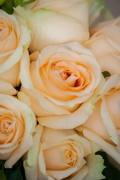 Bukiet Róż Zbliżenie Bukiet Ślubny — Zdjęcie stockowe