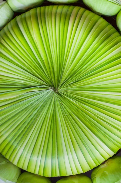 Lotusblume Für Thailändische Hochzeitszeremonie Strand — Stockfoto