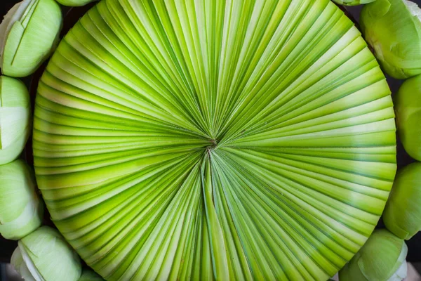 Fiore Loto Messa Punto Cerimonia Nuziale Tailandese Spiaggia — Foto Stock