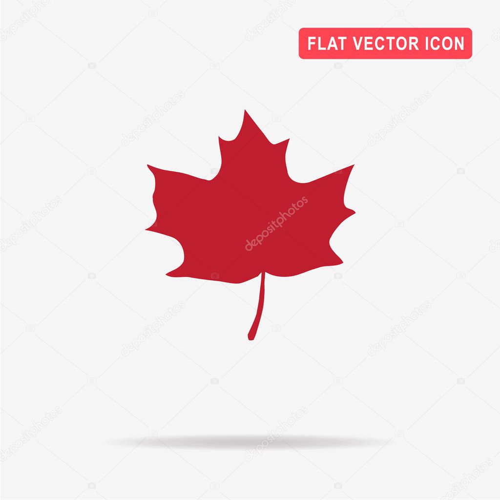 Maple leaf icon. Vector concept illustration for design.