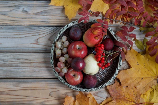 Verschiedene Früchte liegen in einem Weidenkorb. Herbststilleben. Kopierraum für Ihren Text. — Stockfoto