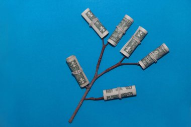 Büyüyen para ağacı. Kağıt parayla genç tomurcuklarla bitki. Finans ve yatırım konsepti.